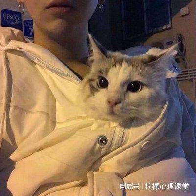 台湾“中油”大贪官在台东落网
